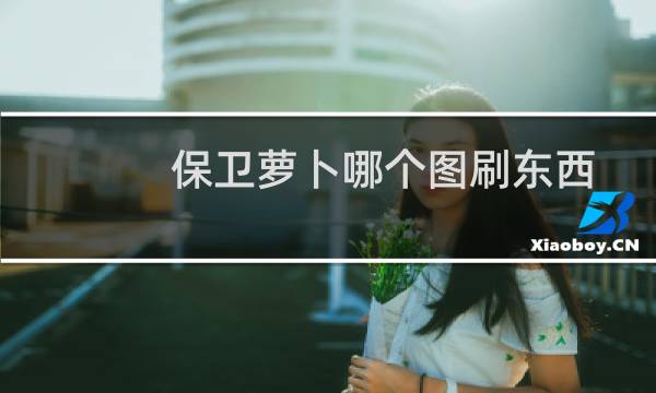保卫萝卜哪个图刷东西