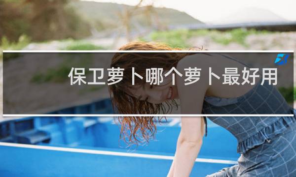 保卫萝卜哪个萝卜最好用