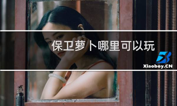 保卫萝卜哪里可以玩
