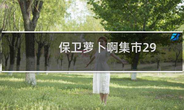 保卫萝卜啊集市29