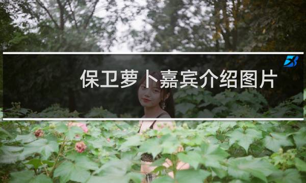 保卫萝卜嘉宾介绍图片