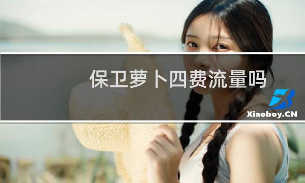 保卫萝卜四费流量吗