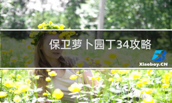 保卫萝卜园丁34攻略