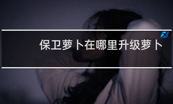 保卫萝卜在哪里升级萝卜