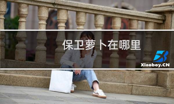 保卫萝卜在哪里