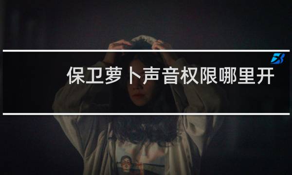 保卫萝卜声音权限哪里开