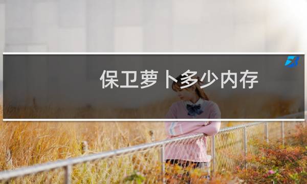 保卫萝卜多少内存