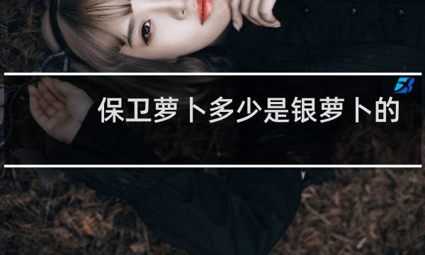 保卫萝卜多少是银萝卜的
