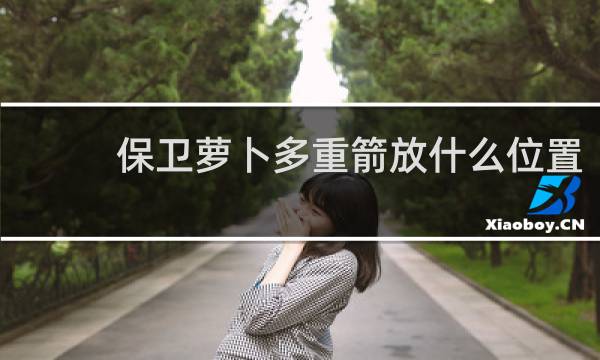 保卫萝卜多重箭放什么位置