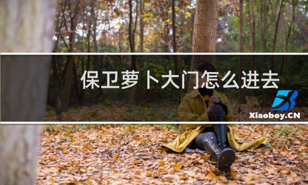 保卫萝卜大门怎么进去