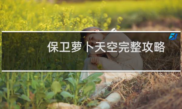 保卫萝卜天空完整攻略