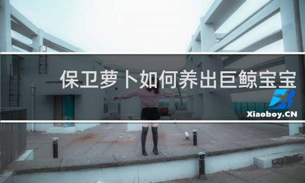 保卫萝卜如何养出巨鲸宝宝