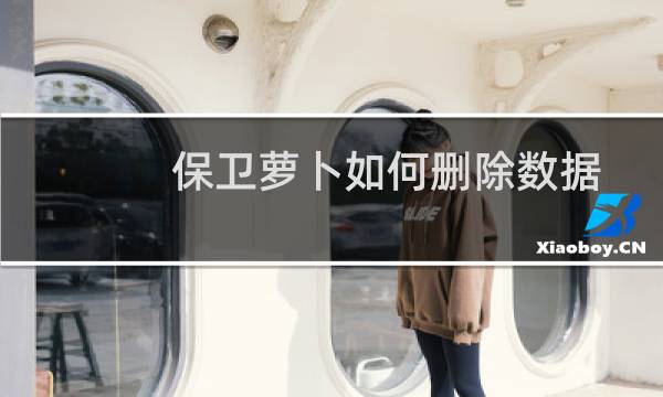 保卫萝卜如何删除数据