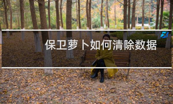 保卫萝卜如何清除数据