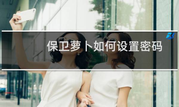 保卫萝卜如何设置密码