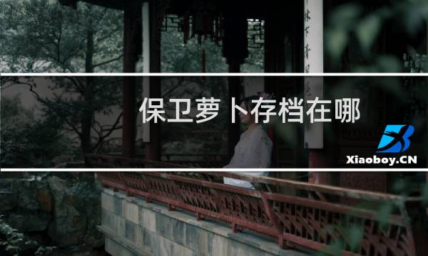 保卫萝卜存档在哪