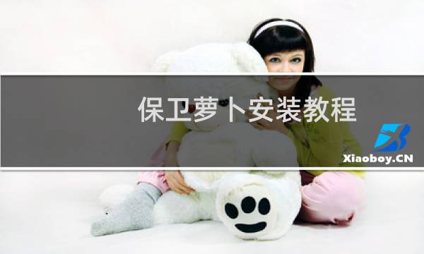 保卫萝卜安装教程
