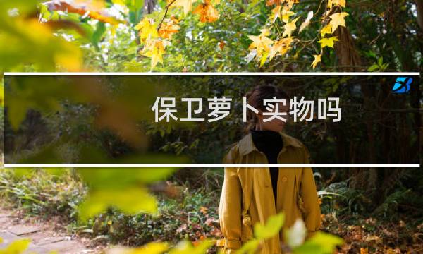 保卫萝卜实物吗