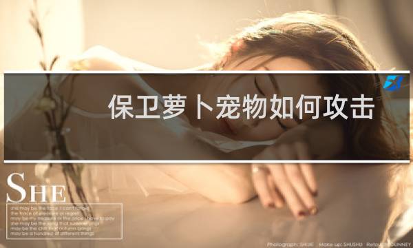 保卫萝卜宠物如何攻击