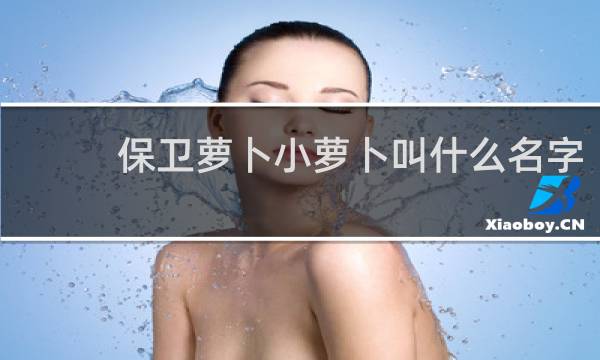 保卫萝卜小萝卜叫什么名字