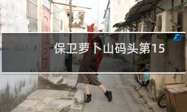 保卫萝卜山码头第15