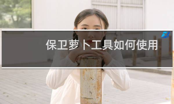 保卫萝卜工具如何使用