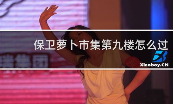 保卫萝卜市集第九楼怎么过