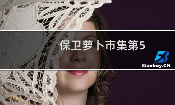 保卫萝卜市集第5