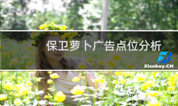 保卫萝卜广告点位分析