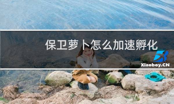 保卫萝卜怎么加速孵化