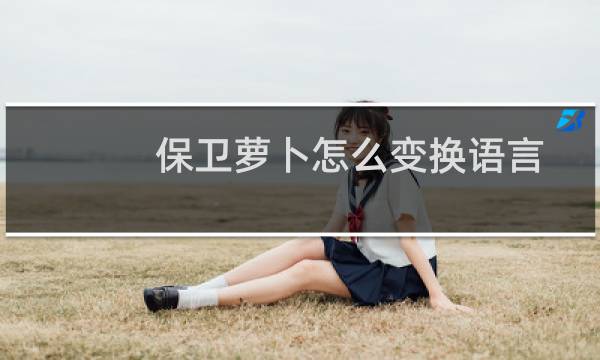 保卫萝卜怎么变换语言