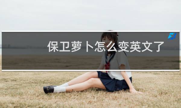 保卫萝卜怎么变英文了