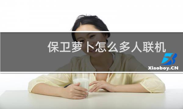 保卫萝卜怎么多人联机