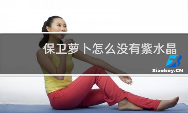 保卫萝卜怎么没有紫水晶