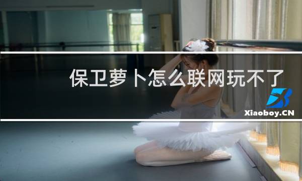 保卫萝卜怎么联网玩不了