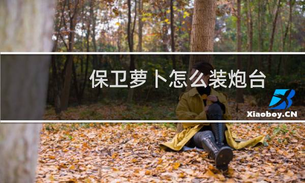 保卫萝卜怎么装炮台