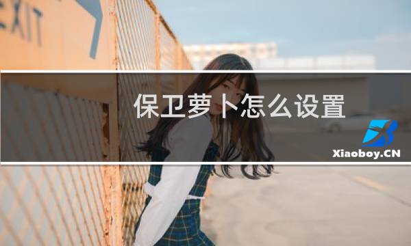 保卫萝卜怎么设置