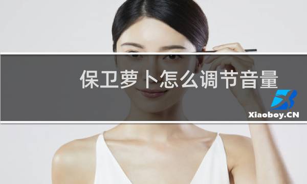 保卫萝卜怎么调节音量