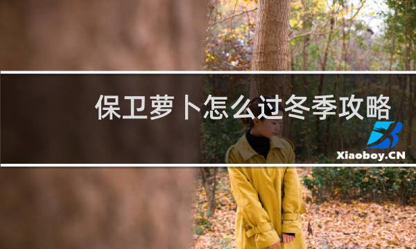 保卫萝卜怎么过冬季攻略