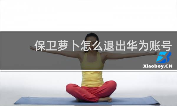 保卫萝卜怎么退出华为账号