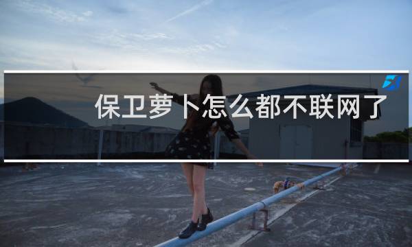 保卫萝卜怎么都不联网了