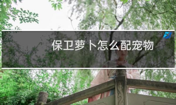 保卫萝卜怎么配宠物