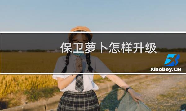 保卫萝卜怎样升级