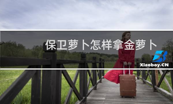 保卫萝卜怎样拿金萝卜