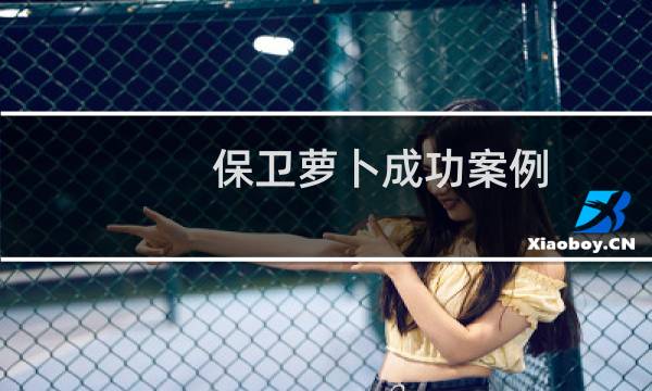 保卫萝卜成功案例