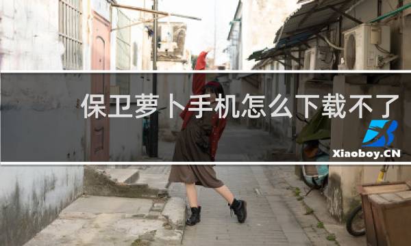 保卫萝卜手机怎么下载不了
