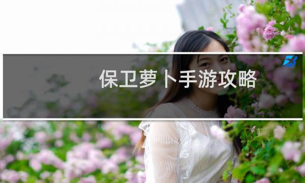 保卫萝卜手游攻略