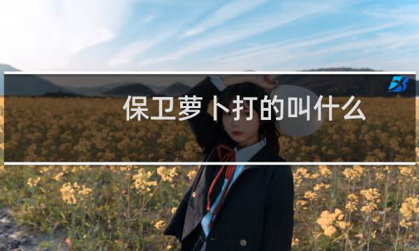 保卫萝卜打的叫什么