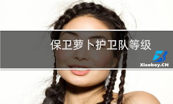 保卫萝卜护卫队等级