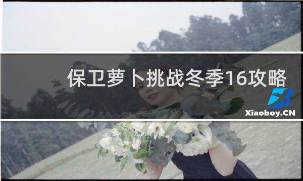 保卫萝卜挑战冬季16攻略